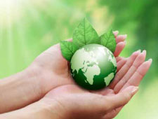 Ecohome_Eco Friendly Initiatives
