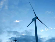 Ecohome_Eco Friendly Initiatives